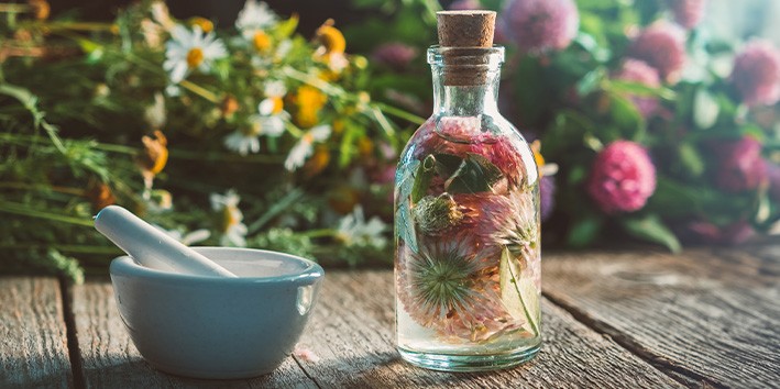 Fitoterapia como comecar